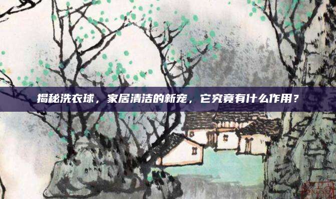揭秘洗衣球，家居清洁的新宠，它究竟有什么作用？