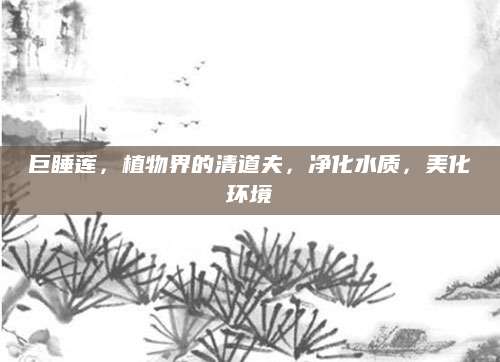 巨睡莲，植物界的清道夫，净化水质，美化环境