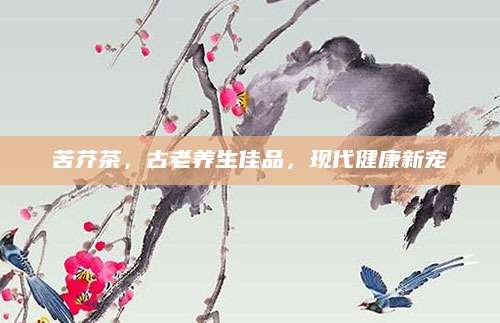 苦芥茶，古老养生佳品，现代健康新宠