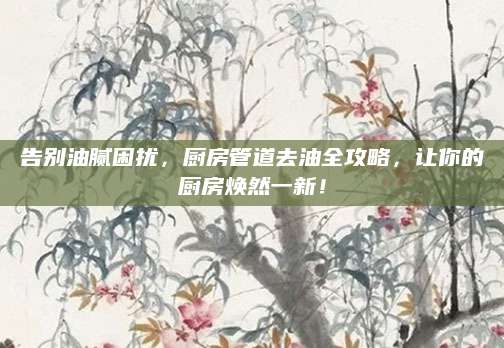 告别油腻困扰，厨房管道去油全攻略，让你的厨房焕然一新！