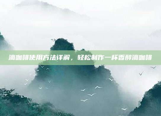 滴咖啡使用方法详解，轻松制作一杯香醇滴咖啡
