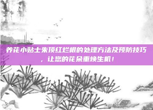 养花小贴士朱顶红烂根的处理方法及预防技巧，让您的花朵重焕生机！