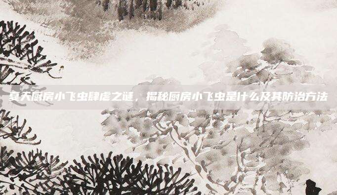 夏天厨房小飞虫肆虐之谜，揭秘厨房小飞虫是什么及其防治方法