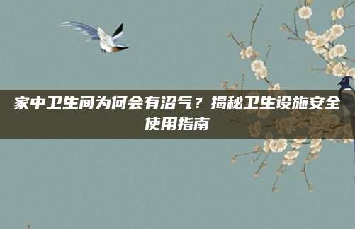 家中卫生间为何会有沼气？揭秘卫生设施安全使用指南