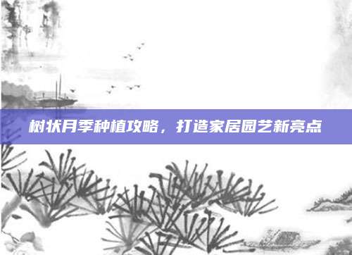 树状月季种植攻略，打造家居园艺新亮点