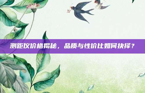 测距仪价格揭秘，品质与性价比如何抉择？