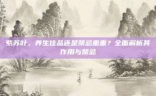 紫苏叶，养生佳品还是禁忌重重？全面解析其作用与禁忌