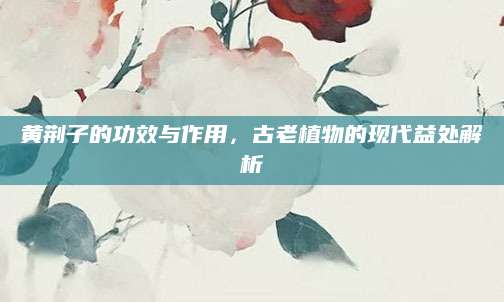 黄荆子的功效与作用，古老植物的现代益处解析