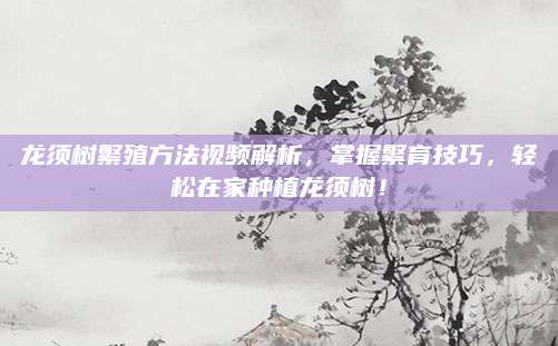 龙须树繁殖方法视频解析，掌握繁育技巧，轻松在家种植龙须树！