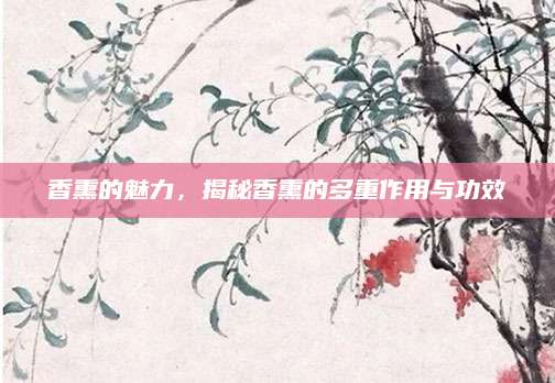 香熏的魅力，揭秘香熏的多重作用与功效