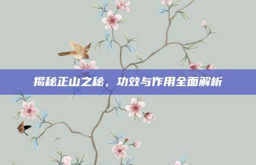 揭秘正山之秘，功效与作用全面解析