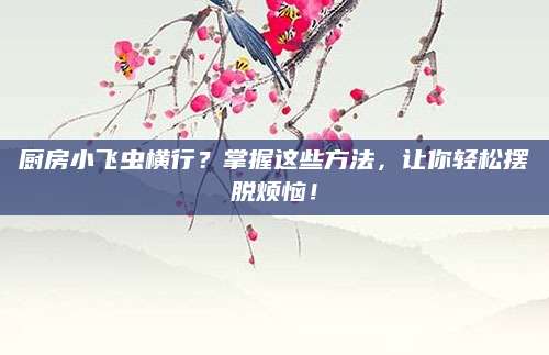 厨房小飞虫横行？掌握这些方法，让你轻松摆脱烦恼！