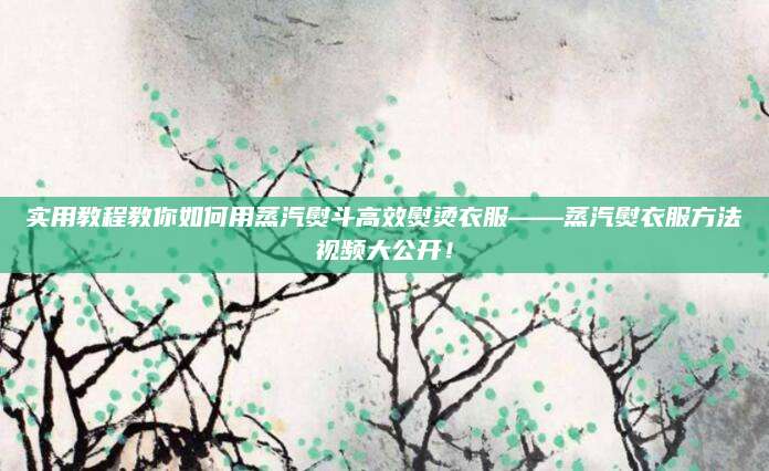 实用教程教你如何用蒸汽熨斗高效熨烫衣服——蒸汽熨衣服方法视频大公开！