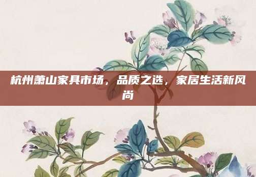 杭州萧山家具市场，品质之选，家居生活新风尚