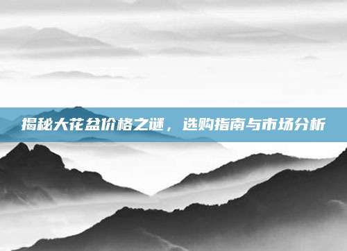 揭秘大花盆价格之谜，选购指南与市场分析