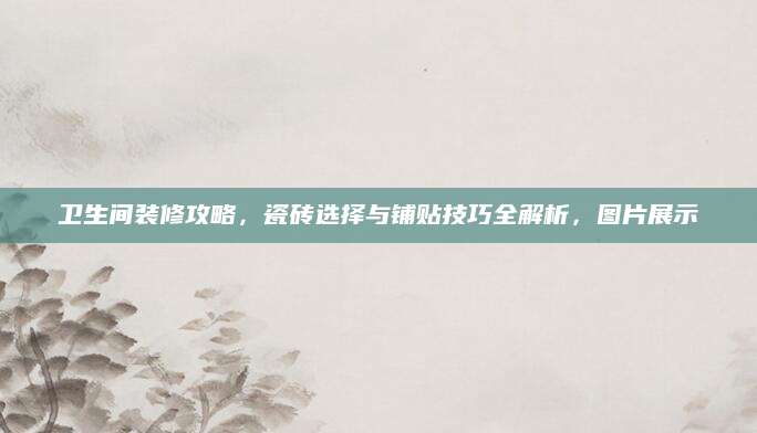 卫生间装修攻略，瓷砖选择与铺贴技巧全解析，图片展示