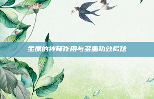 蚕屎的神奇作用与多重功效揭秘