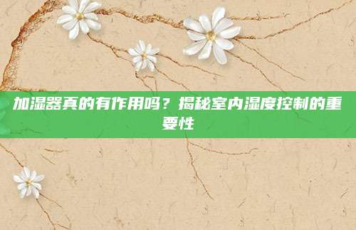 加湿器真的有作用吗？揭秘室内湿度控制的重要性