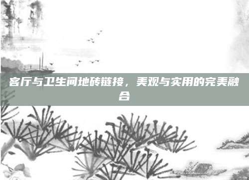 客厅与卫生间地砖链接，美观与实用的完美融合