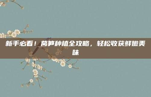 新手必看！莴笋种植全攻略，轻松收获鲜嫩美味