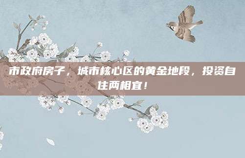市政府房子，城市核心区的黄金地段，投资自住两相宜！