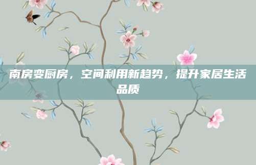 南房变厨房，空间利用新趋势，提升家居生活品质