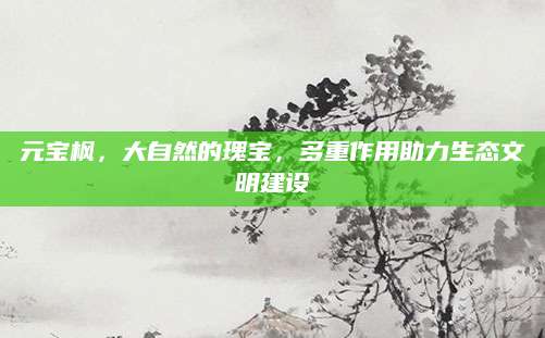 元宝枫，大自然的瑰宝，多重作用助力生态文明建设