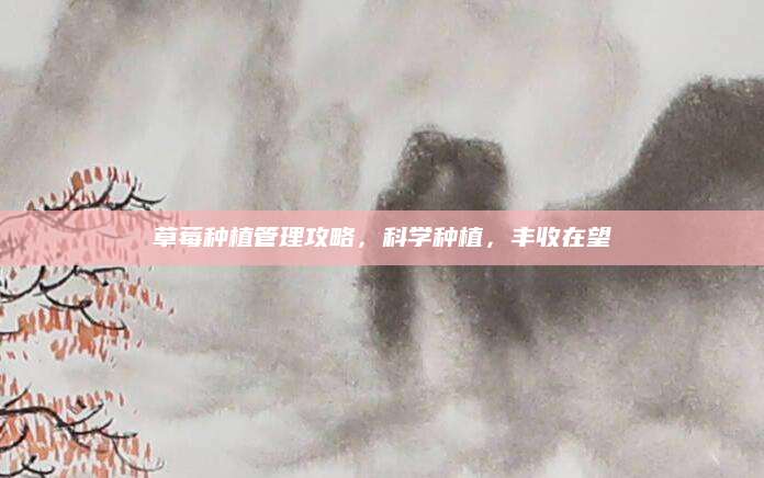 草莓种植管理攻略，科学种植，丰收在望