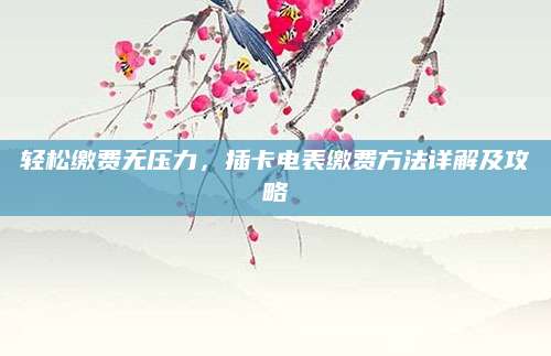 轻松缴费无压力，插卡电表缴费方法详解及攻略