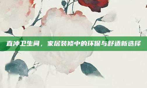 直冲卫生间，家居装修中的环保与舒适新选择