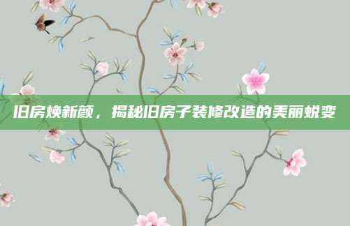 旧房焕新颜，揭秘旧房子装修改造的美丽蜕变