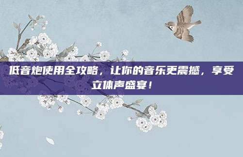 低音炮使用全攻略，让你的音乐更震撼，享受立体声盛宴！