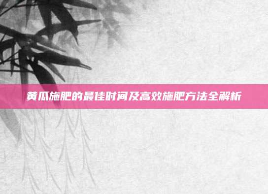 黄瓜施肥的最佳时间及高效施肥方法全解析