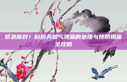 紧急应对！厨房天然气泄漏的处理与预防措施全攻略