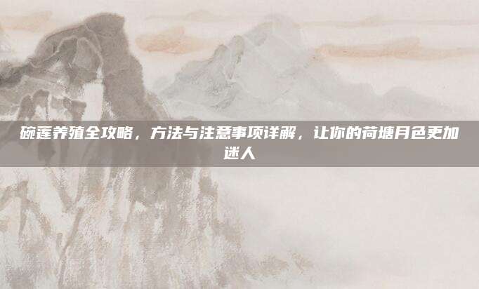 碗莲养殖全攻略，方法与注意事项详解，让你的荷塘月色更加迷人