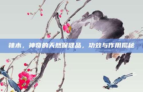 辣木，神奇的天然保健品，功效与作用揭秘