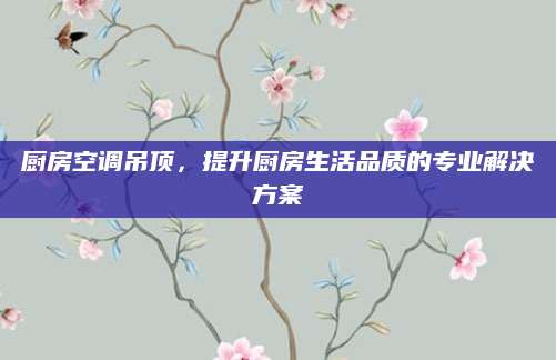 厨房空调吊顶，提升厨房生活品质的专业解决方案