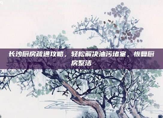 长沙厨房疏通攻略，轻松解决油污堵塞，恢复厨房整洁