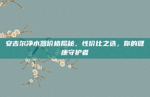 安吉尔净水器价格揭秘，性价比之选，你的健康守护者