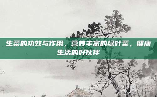 生菜的功效与作用，营养丰富的绿叶菜，健康生活的好伙伴