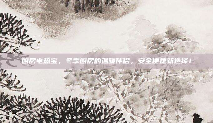 厨房电热宝，冬季厨房的温暖伴侣，安全便捷新选择！