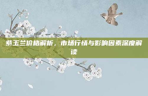 紫玉兰价格解析，市场行情与影响因素深度解读