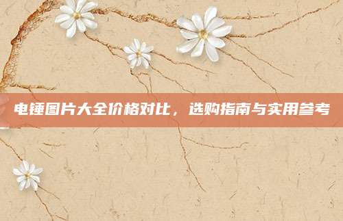 电锤图片大全价格对比，选购指南与实用参考