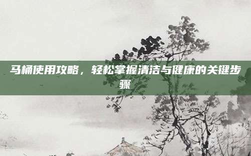 马桶使用攻略，轻松掌握清洁与健康的关键步骤