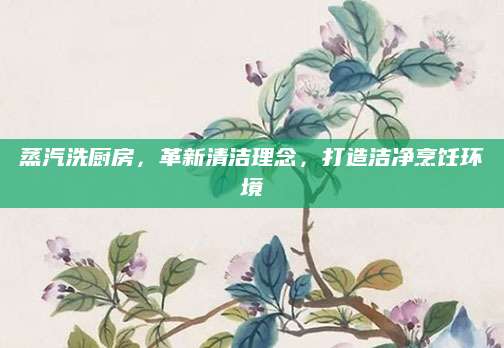 蒸汽洗厨房，革新清洁理念，打造洁净烹饪环境