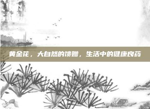 黄金花，大自然的馈赠，生活中的健康良药