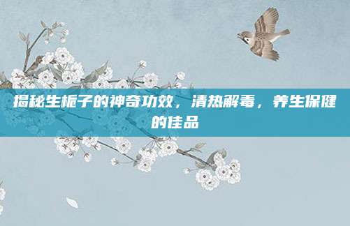 揭秘生栀子的神奇功效，清热解毒，养生保健的佳品