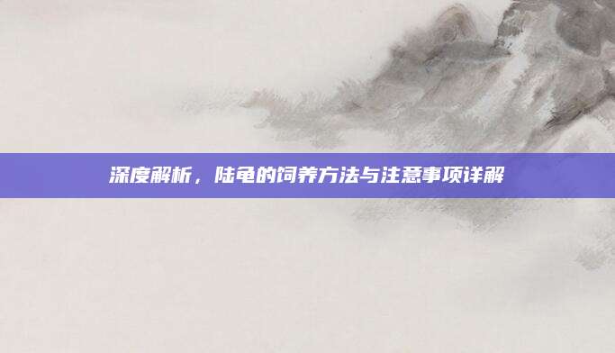 深度解析，陆龟的饲养方法与注意事项详解