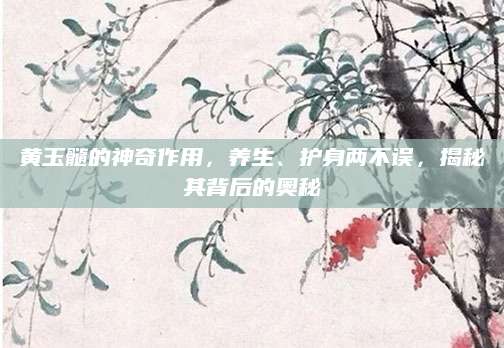 黄玉髓的神奇作用，养生、护身两不误，揭秘其背后的奥秘