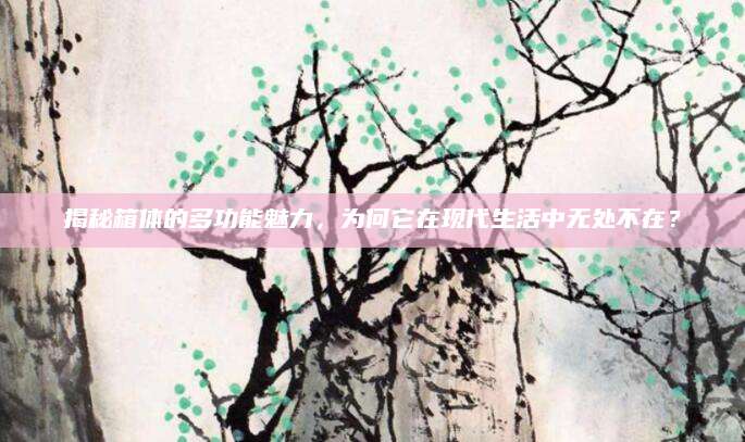 揭秘箱体的多功能魅力，为何它在现代生活中无处不在？